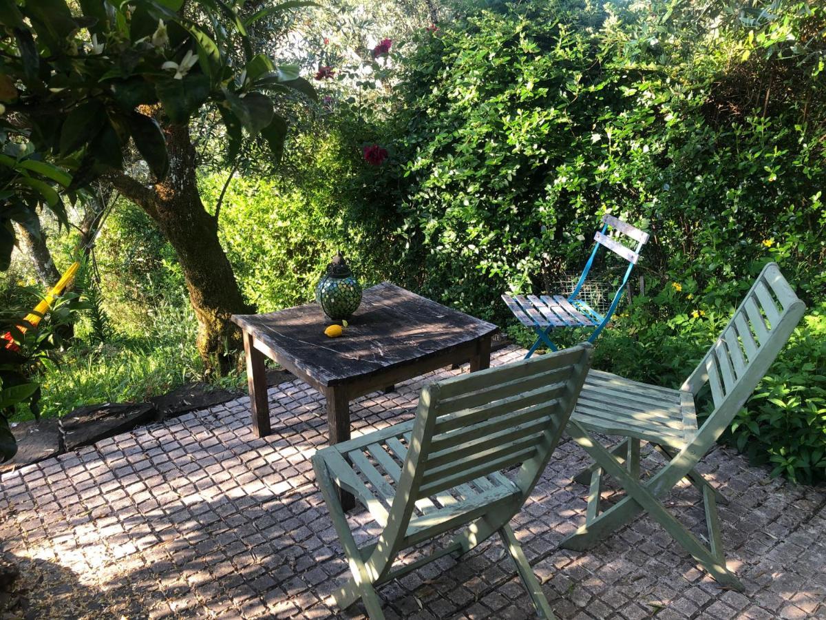 Bed and Breakfast House Of The Three Marias à Pedrogao Grande Extérieur photo