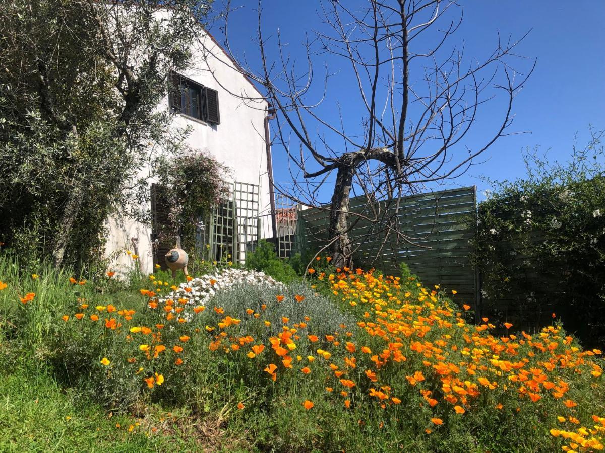 Bed and Breakfast House Of The Three Marias à Pedrogao Grande Extérieur photo